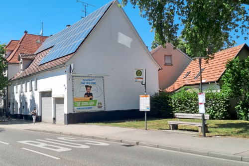 Zum Artikel
