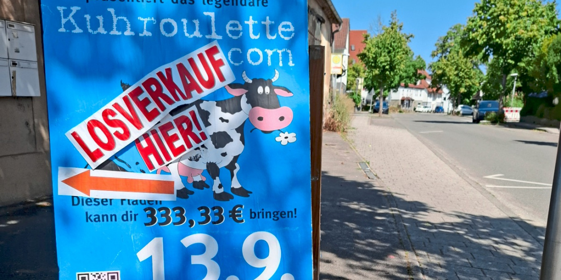 Zum Artikel