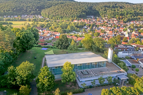 Zum Artikel