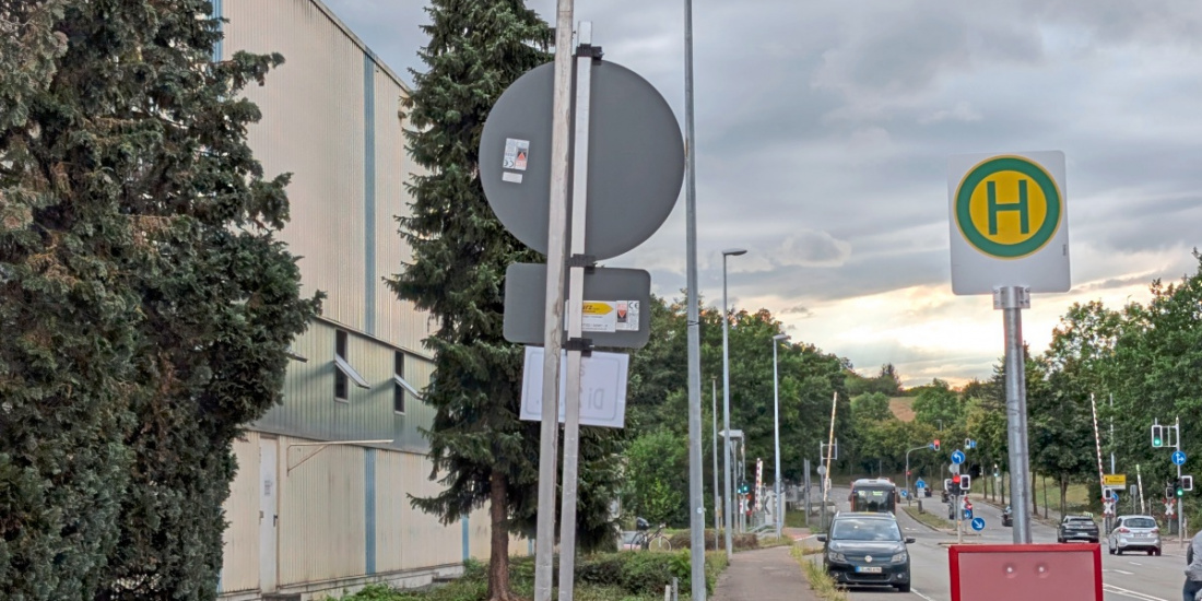 Zum Artikel