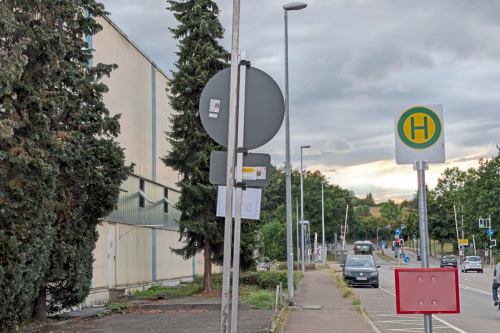 Zum Artikel