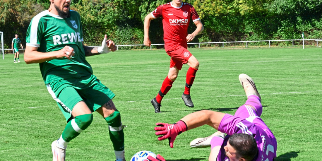 Zum Artikel