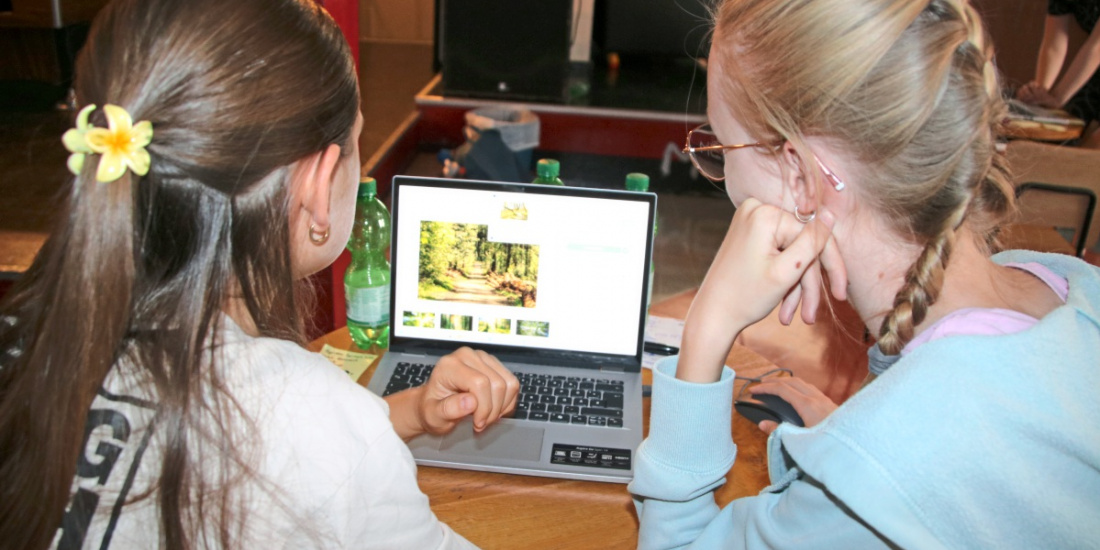 Zum Artikel