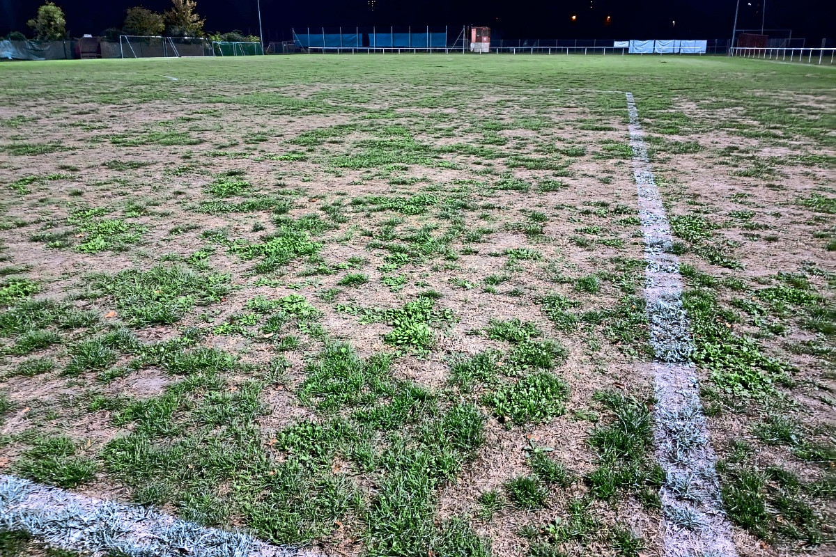 Next grass pitch in Nürtingen unplayable: Cup match canceled at short ...