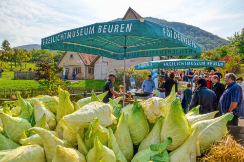 Zum Artikel