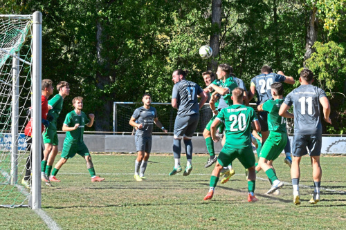 Zum Artikel