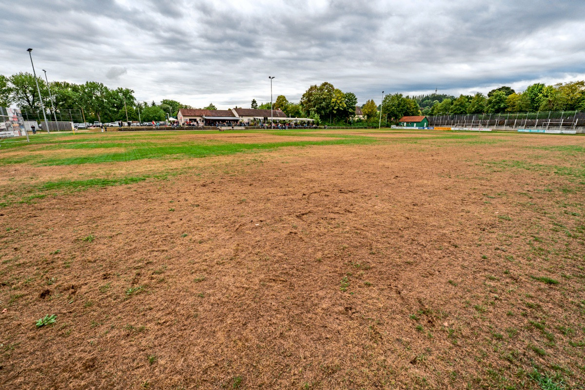 Sports fields in Nürtingen are generally not irrigated with drinking water