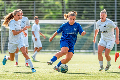 Zum Artikel