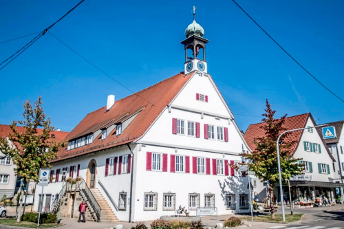 Zum Artikel