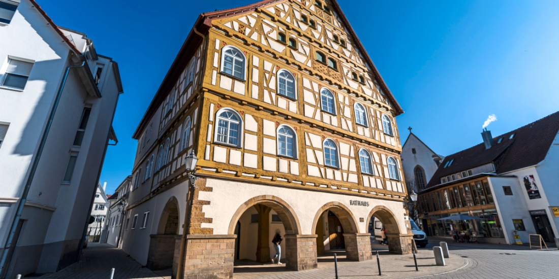 Zum Artikel