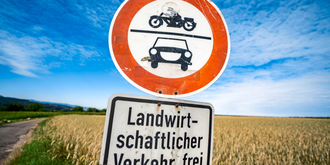 Zum Artikel