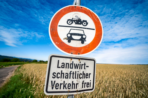Zum Artikel